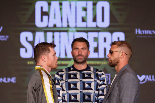 canelo stares at saunders