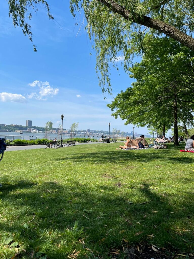 ny park