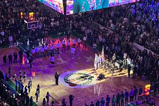 TD garden