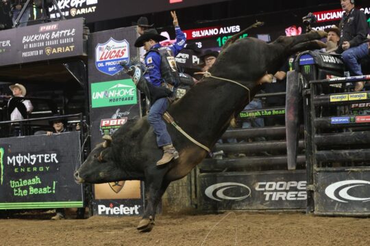 PBR