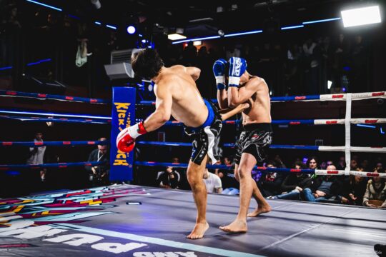 Night of the Kick and Punch